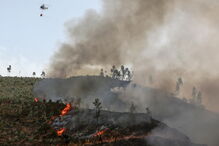 Bombeiros combatem incêndio na Serra de Monchique