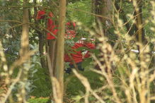 Cadáver encontrado em Famalicão