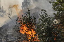 O rasto de destruição deixado pelas chamas em Monchique