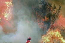 Fogo em Monchique não dá tréguas a populares e bombeiros
