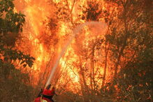 Fogo em Monchique não dá tréguas a populares e bombeiros