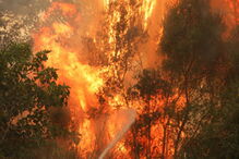 Fogo em Monchique não dá tréguas a populares e bombeiros