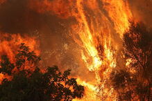 Fogo em Monchique não dá tréguas a populares e bombeiros