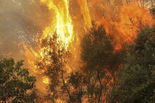 Fogo em Monchique não dá tréguas a populares e bombeiros