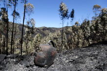 7º dia de incêndio em Monchique 