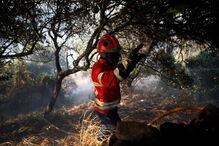 7º dia de incêndio em Monchique