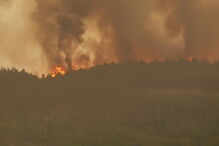 Monchique, Algarve, Portugal