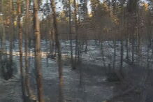 Incêndio no Montijo mobiliza 145 bombeiros 