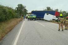 2018-08-13_09_23_23 014D64FF (1).jpg