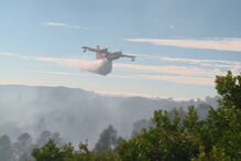 2018-08-13_14_49_23 Incêndio que deflagrou na Sertã foi dominado após 4 horas, estiveram no local mais de 250 operacionais.jpg