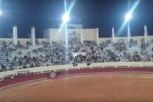 Três homens invadem praça de touros e interrompem corrida em Albufeira