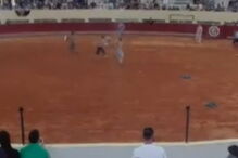 Três homens invadem praça de touros e interrompem corrida em Albufeira