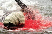 Matança consiste numa tradição levada a cabo há mais de cem anos