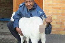 Cabra ficou traumatizada com os abusos. Polícia está a investigar o caso