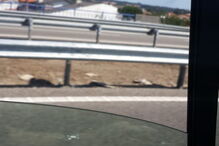 Incêndio deflagra em fábrica de produtos inflamáveis na Maia	