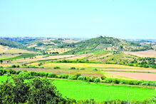 Donos dos terrenos terão sido contactados pelos promotores do projeto, de forma a serem instalados os painéis 