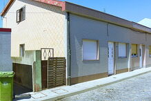 Vizinhos queixam-se de maus cheiros e de que animais passam fome 