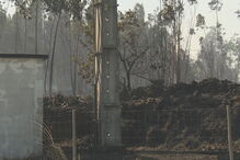 Incêndio em zona industrial ameaça fábrica em Famalicão