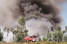 Chamas deflagraram ontem numa área florestal próxima da zona industrial de Lousado, em Vila Nova de Famalicão