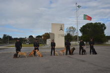 Zarco faz parte da equipa