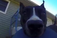 Imagens tornaram-se virais nas redes sociais