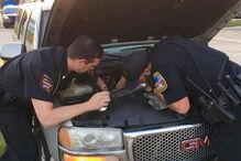Cobra causa avaria em carro 