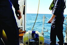 Sucessão de erros faz quatro mortos no mar na Figueira da Foz