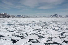 Manto de gelo da Gronelândia é a segunda maior massa gelada do mundo