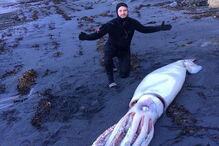 Lula gigante dá à costa na Nova Zelândia