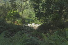 Grupo de ciclistas encontra homem morto dentro do carro em Vieira do Minho