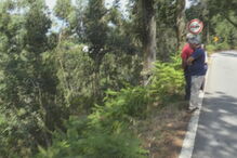 Grupo de ciclistas encontra homem morto dentro do carro em Vieira do Minho