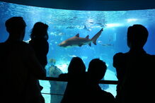 Oceanário de Lisboa