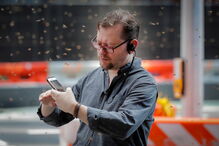 Enxame de abelhas passeia em Nova Iorque