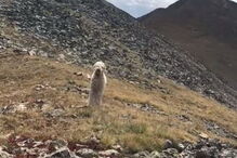 Imagens do reencontro com Samantha, filha da vítima mortal