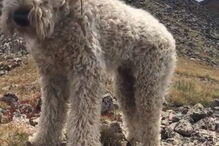 Imagens do reencontro com Samantha, filha da vítima mortal