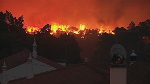 Incêndio em Monchique