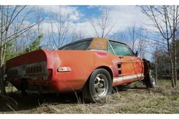 Um dos Ford Mustang mais valiosos do mundo foi encontrado num campo
