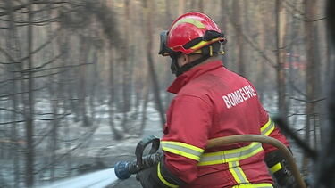 Canha, Montijo, Vila Franca de Xira