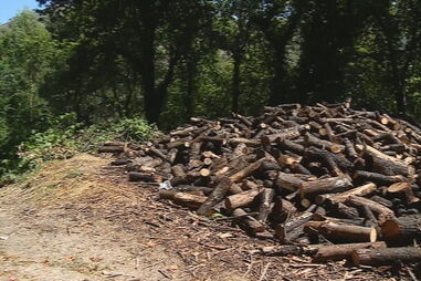 Presidente da junta encontra ciclista morto