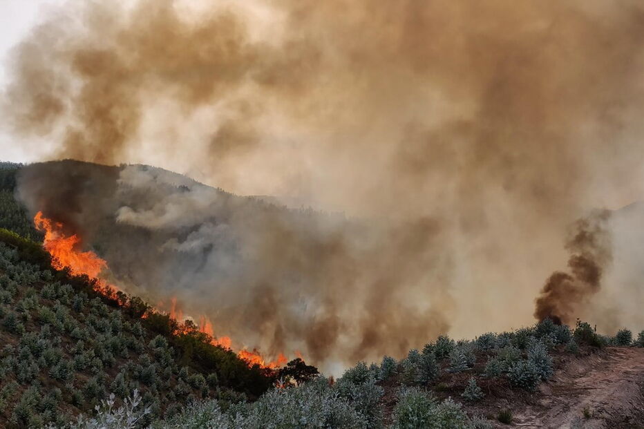 Bombeiros combatem incêndio na Serra de Monchique