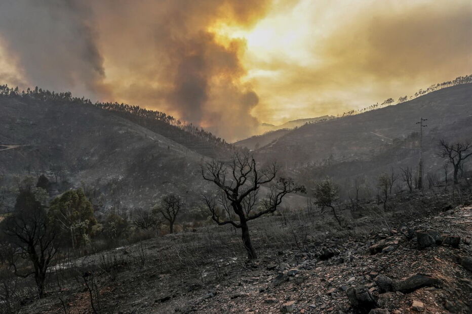 Bombeiros combatem incêndio na Serra de Monchique