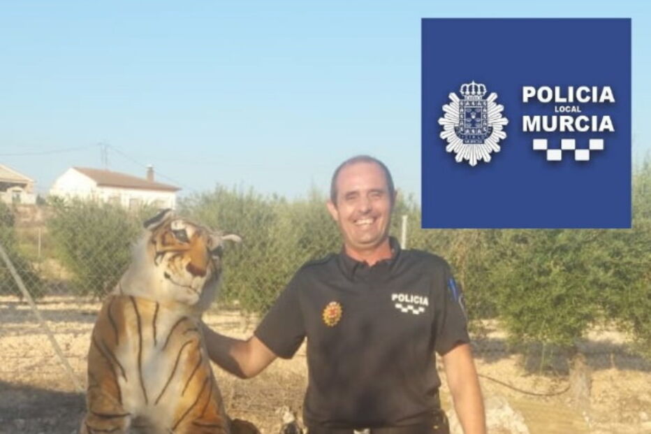 2018-08-04_13_15_46 xx.PNG