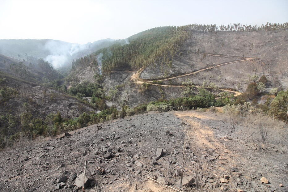 2018-08-04_14_29_24 M2-16622524.JPG