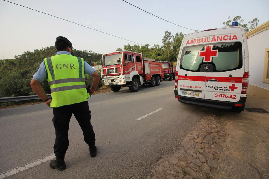 2018-08-04_14_29_26 M2-16622527.JPG