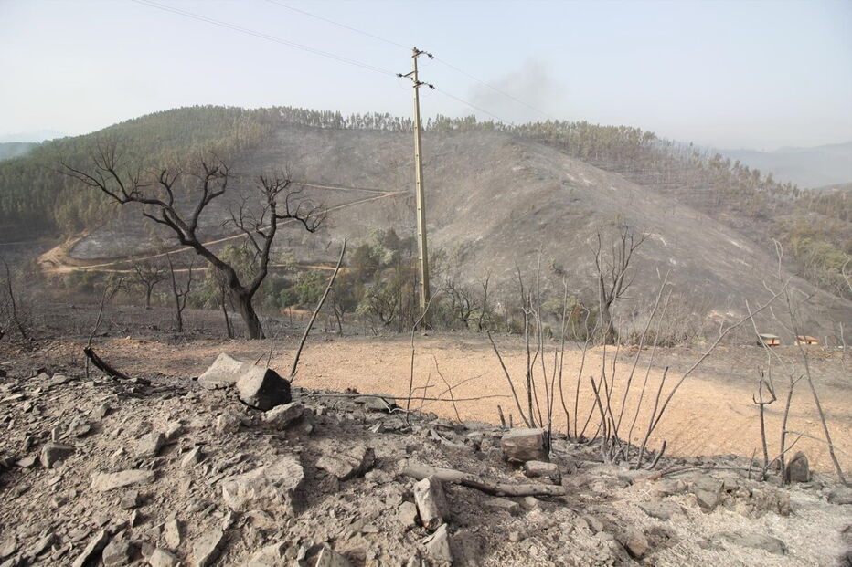 2018-08-04_14_29_27 M2-16622529.JPG