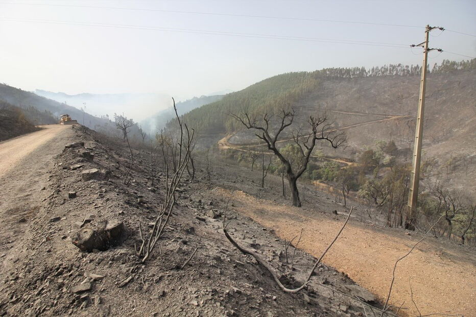 2018-08-04_14_29_29 M2-16622533.JPG