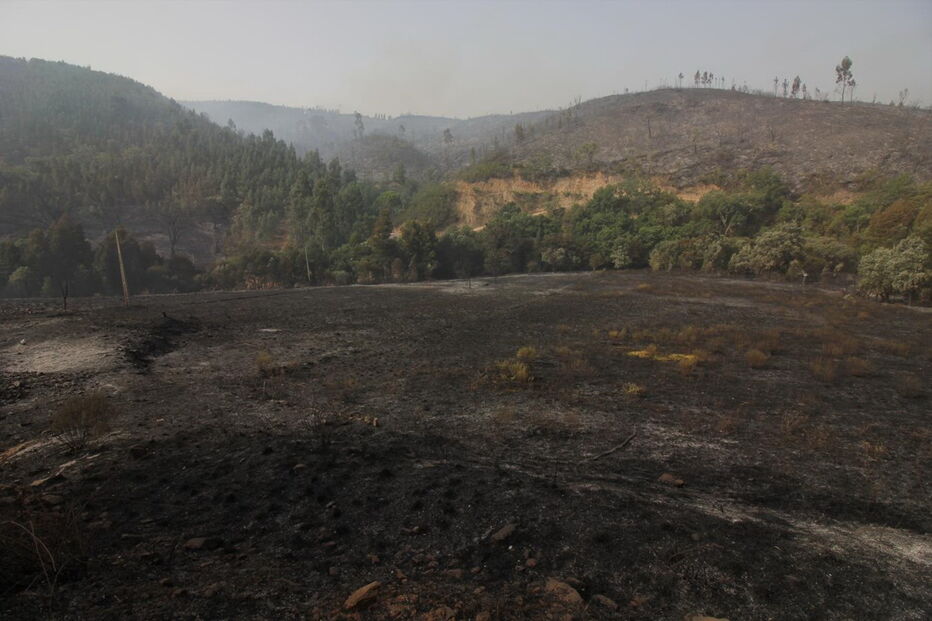 2018-08-04_14_29_30 M2-16622535.JPG