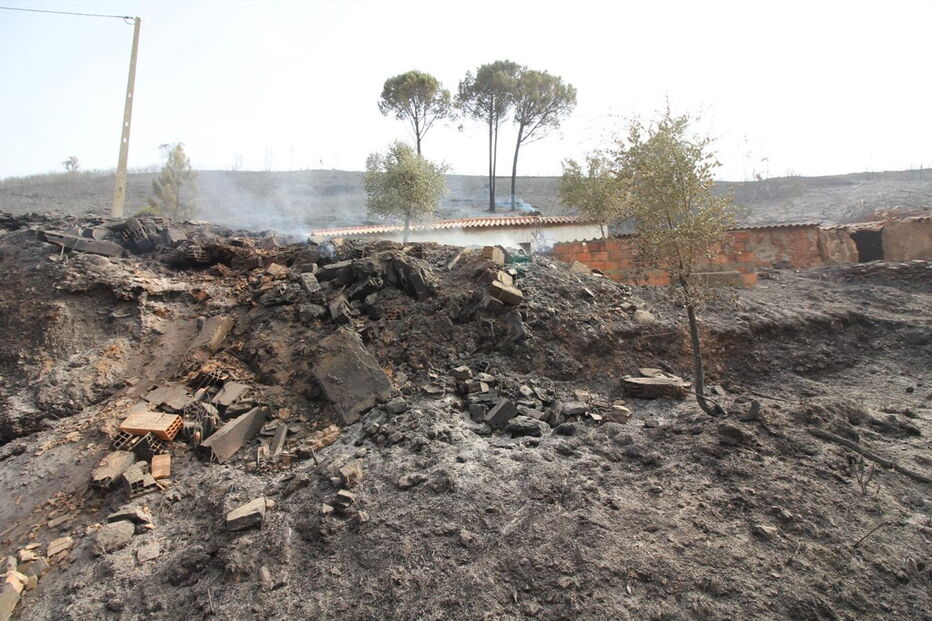 2018-08-04_14_29_31 M2-16622536.JPG