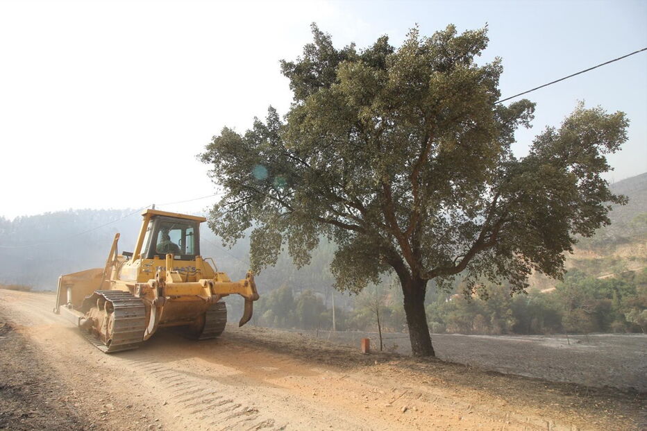 2018-08-04_14_29_31 M2-16622550.JPG