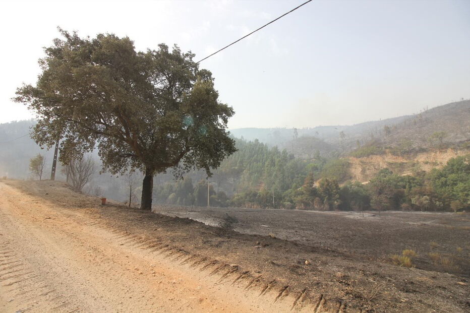 2018-08-04_14_29_32 M2-16622551.JPG